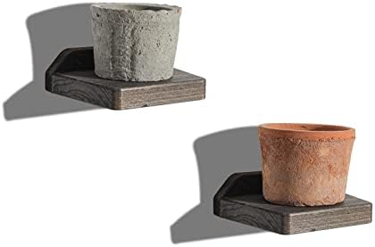 Freezing Point 5 Inch Floating Wall Shelves Set of 2 Natural Wood