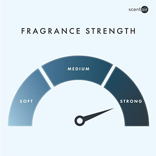 ScentAir Monthly Fragrance Cartridge - White Blossom Tea