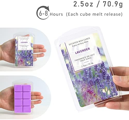 SCENTORINI Wax Melts 4 Pack Ocean Breeze Vanilla Coconut Cinnamon Lavender