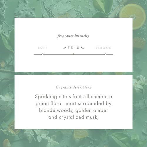 Monthly Fragrance Cartridge for Whisper Home - A Walk in the Woods 1