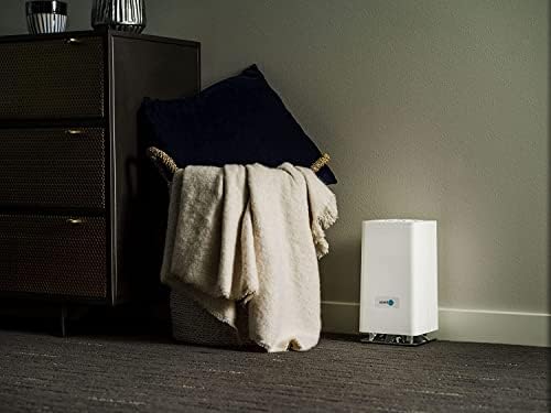 Monthly Fragrance Cartridge for Whisper Home - Eucalyptus Mint 1