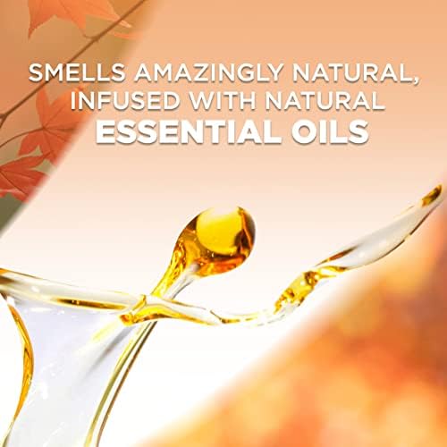 Air Wick Plug In Scented Oil Kit Pumpkin Spice