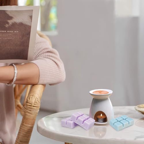 Soy Wax Melts with 8 Signature Scents