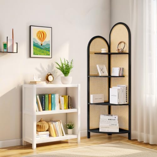 Leesinwing 4 Tier Corner Shelf with Legs Black