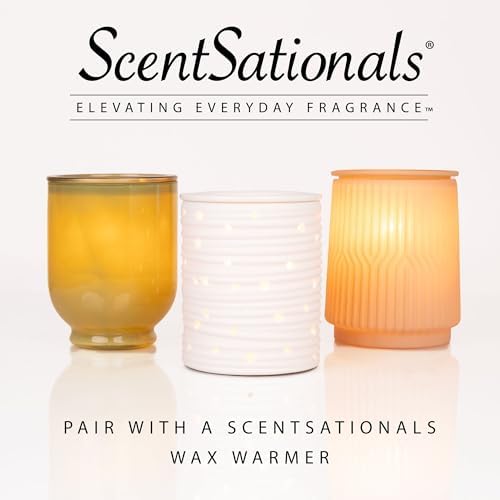 Scentsationals Wax Melts - Golden Apple 24-Cubes