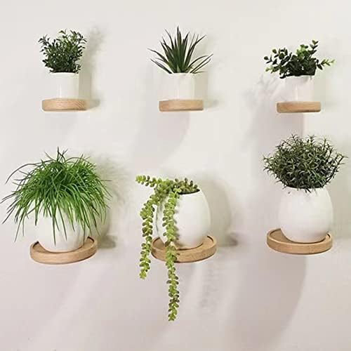 3 Pack Round Wood Floating Shelves for Wall Decor