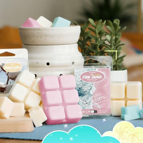 Purimaster Summer Scented Wax Melts Gift Set