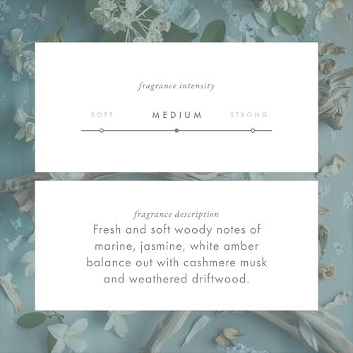 ScentAir Monthly Fragrance Cartridge - Seaside Driftwood