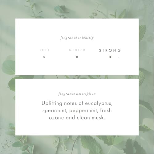 Monthly Fragrance Cartridge for Whisper Home - Eucalyptus Mint 1