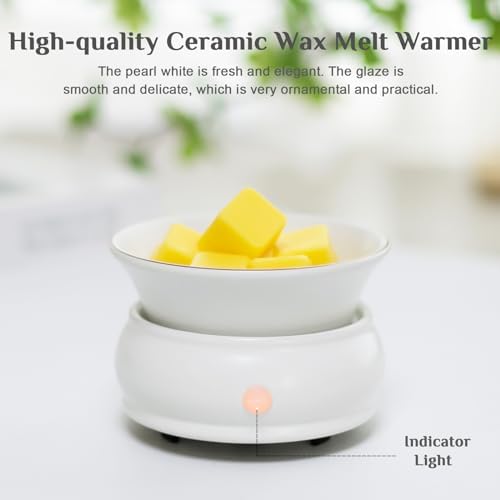 Bobolyn 4-in-1 Electric Wax Melter Warmer Burner