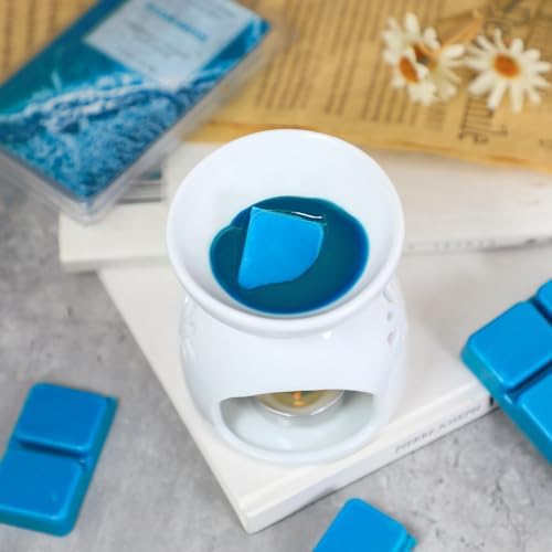 SCENTORINI Wax Melts 4 Pack Ocean Breeze Vanilla Coconut Cinnamon Lavender