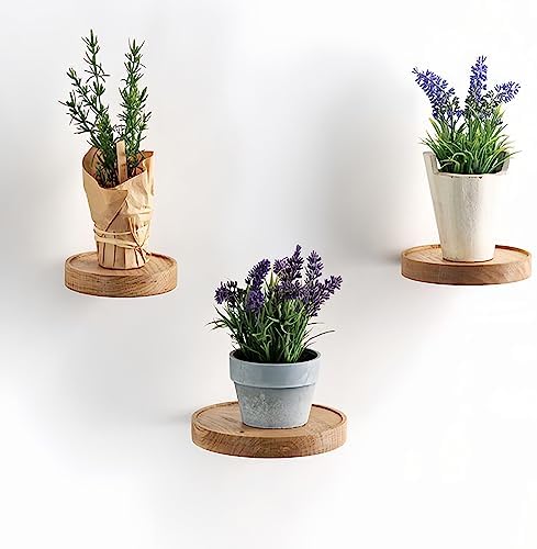 3 Pack Round Wood Floating Shelves for Wall Decor