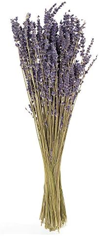 De La Terre Dried French Lavender Bundle