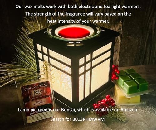 Cool Man Cave Mix Scented Wax Melts 3 Pack - USA Made