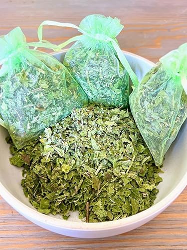 12 Organic Mint Sachets for Drawer Car Freshness