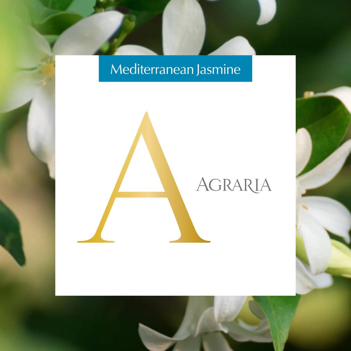 Aera Agraria Mediterranean Jasmine Scent Refill
