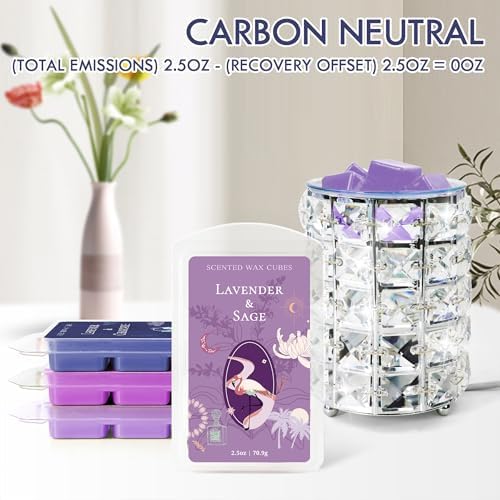 STRN Natural Soy Wax Melts with Essential Oils