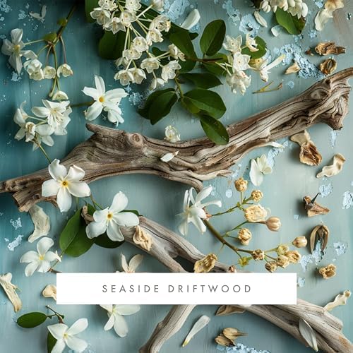 ScentAir Monthly Fragrance Cartridge - Seaside Driftwood