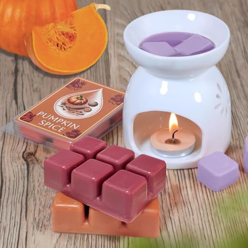 Soy Wax Melts with 8 Signature Scents