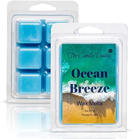 The Candle Daddy Ocean Breeze 2 oz Wax Melt 6 Cubes