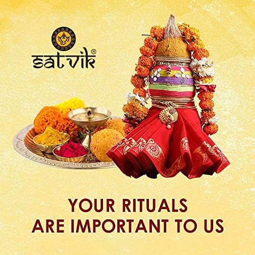SATVIK 6 Piece Brass Kuber Diya Set with Turtle Base