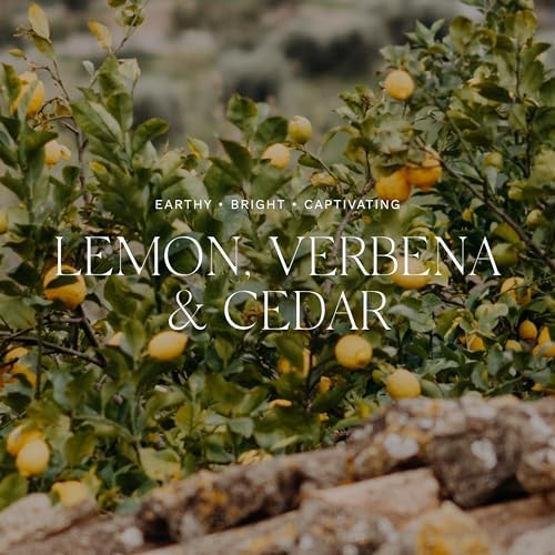 Antica Farmacista Lemon Verbena Cedar Diffuser 34 Fl Oz