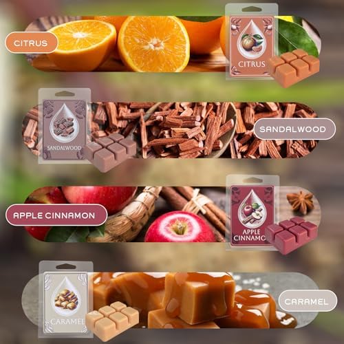 Soy Wax Melts with 8 Signature Scents