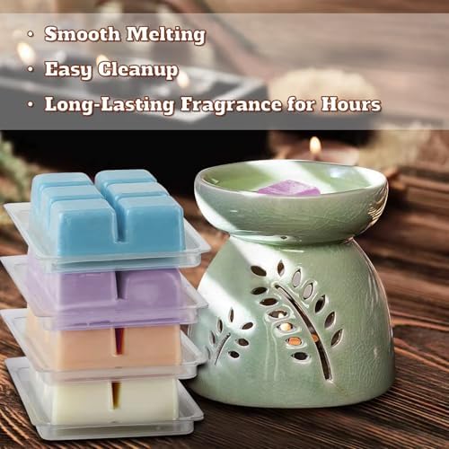 Soy Wax Melts with 8 Signature Scents