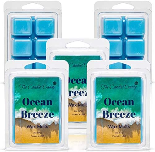 The Candle Daddy Ocean Breeze 2 oz Wax Melt 6 Cubes