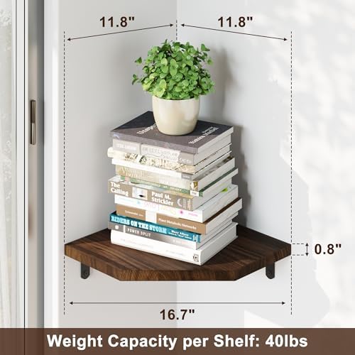 Alsonerbay Corner Shelf Wall Mount Set of 3