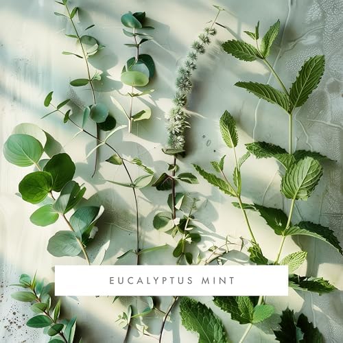 Monthly Fragrance Cartridge for Whisper Home - Eucalyptus Mint 1