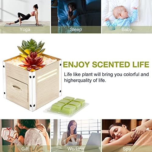 GXD Artificial Succulent Wax Warmer with LED Light