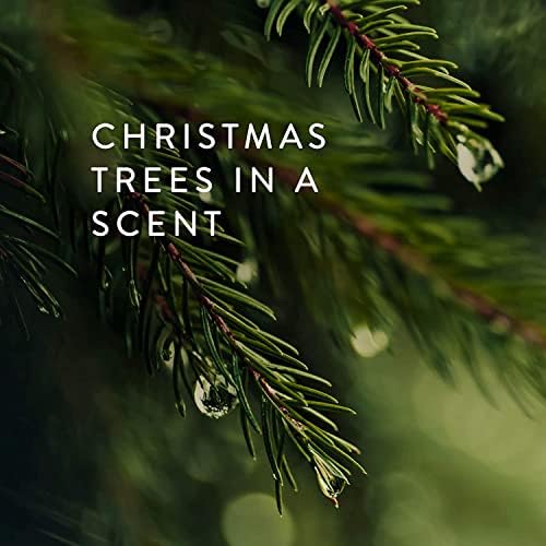 Thymes Electric Diffuser Refill - Frasier Fir 025 Fl Oz