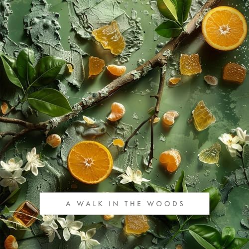 Monthly Fragrance Cartridge for Whisper Home - A Walk in the Woods 1