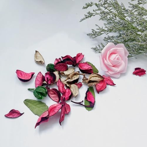 Gkwet Home Fragrance Perfume Bags Rose 5 Ounces x 2