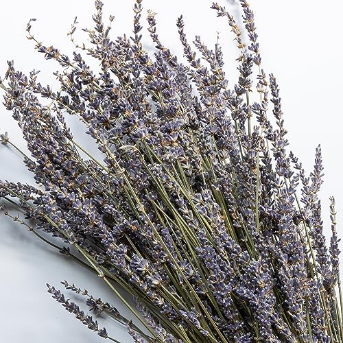 Lavender Sachet 6-Pack - Natural Dried Decor