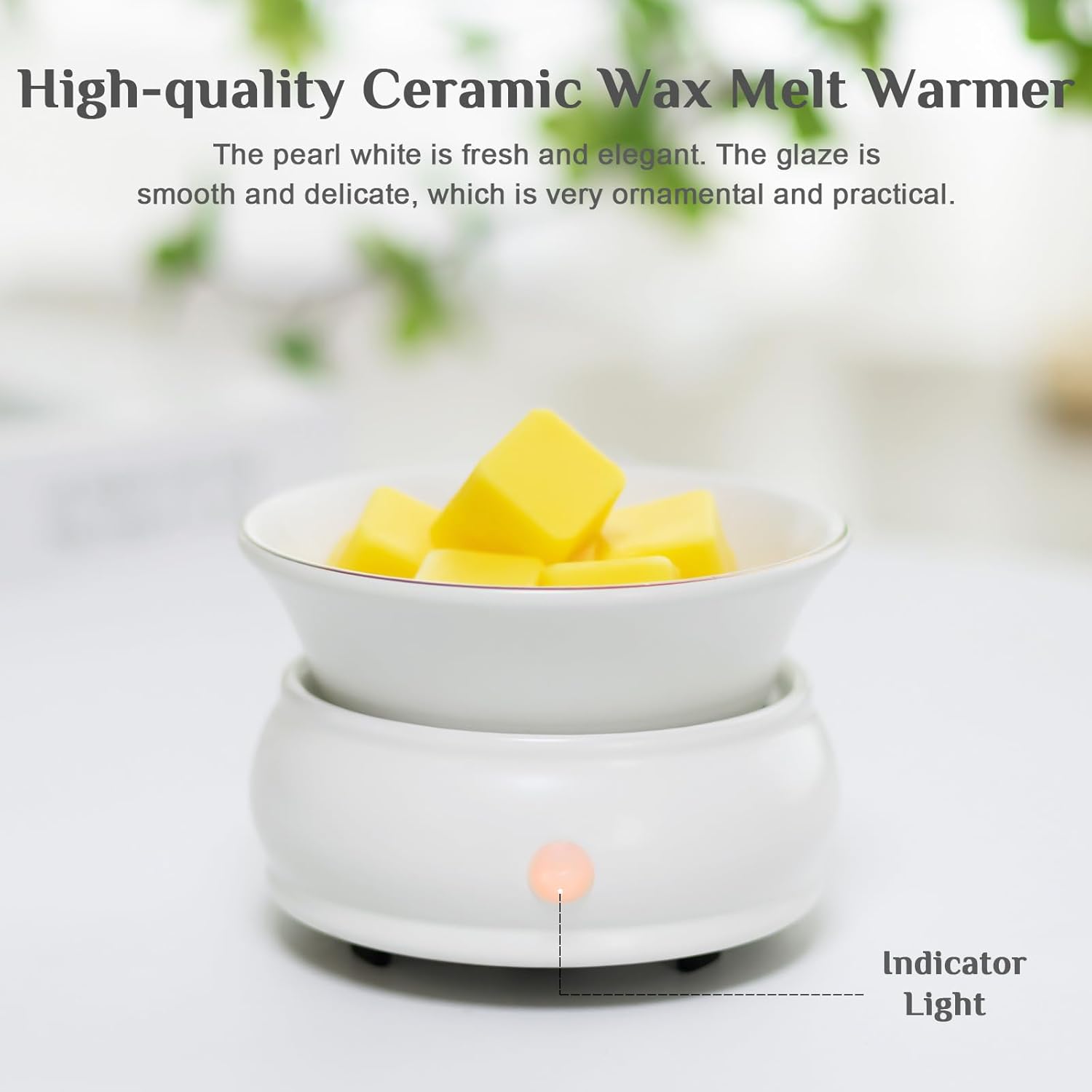 Bobolyn 4-in-1 Electric Wax Melter Warmer Burner