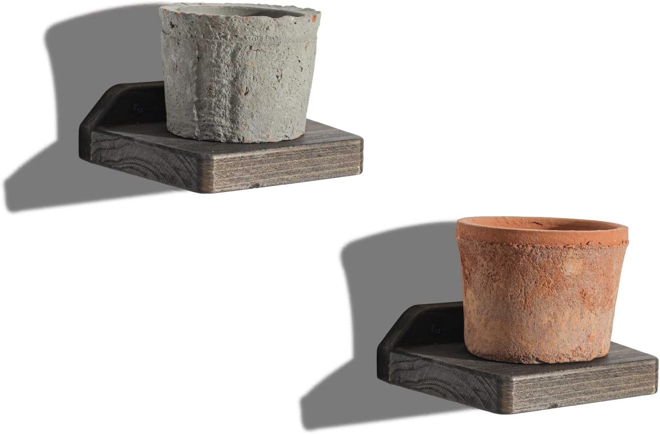Freezing Point 5 Inch Floating Wall Shelves Set of 2 Natural Wood