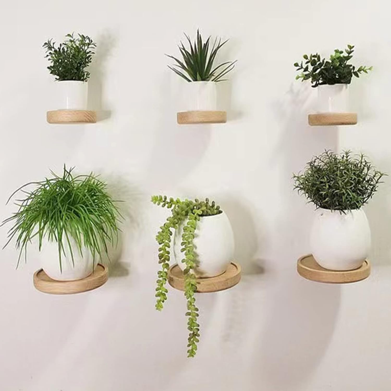3 Pack Round Wood Floating Shelves for Wall Decor