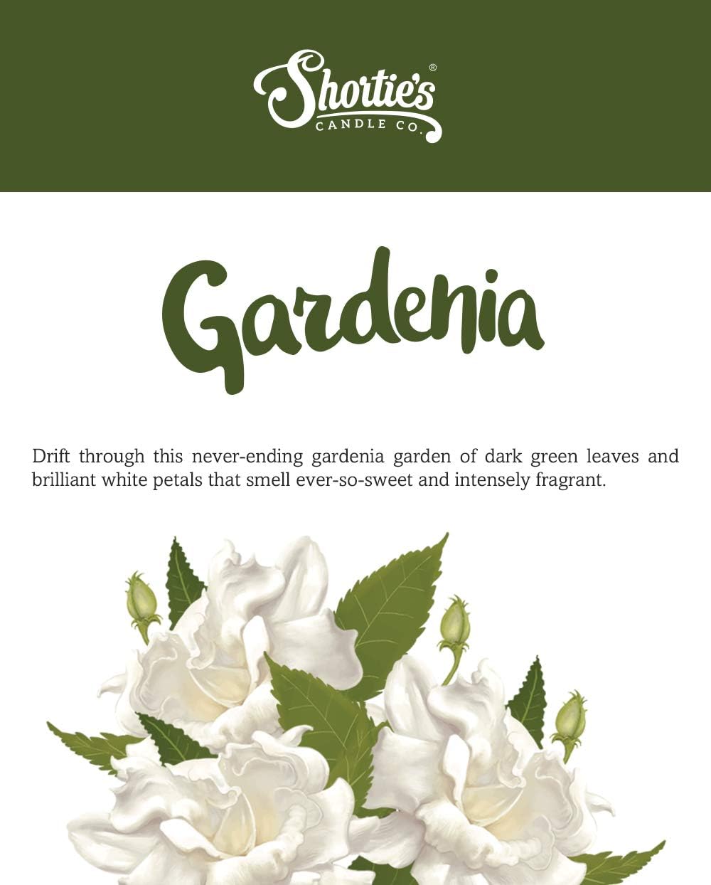 Shorties Candle Company Pure Gardenia Wax Melts Multi Pack