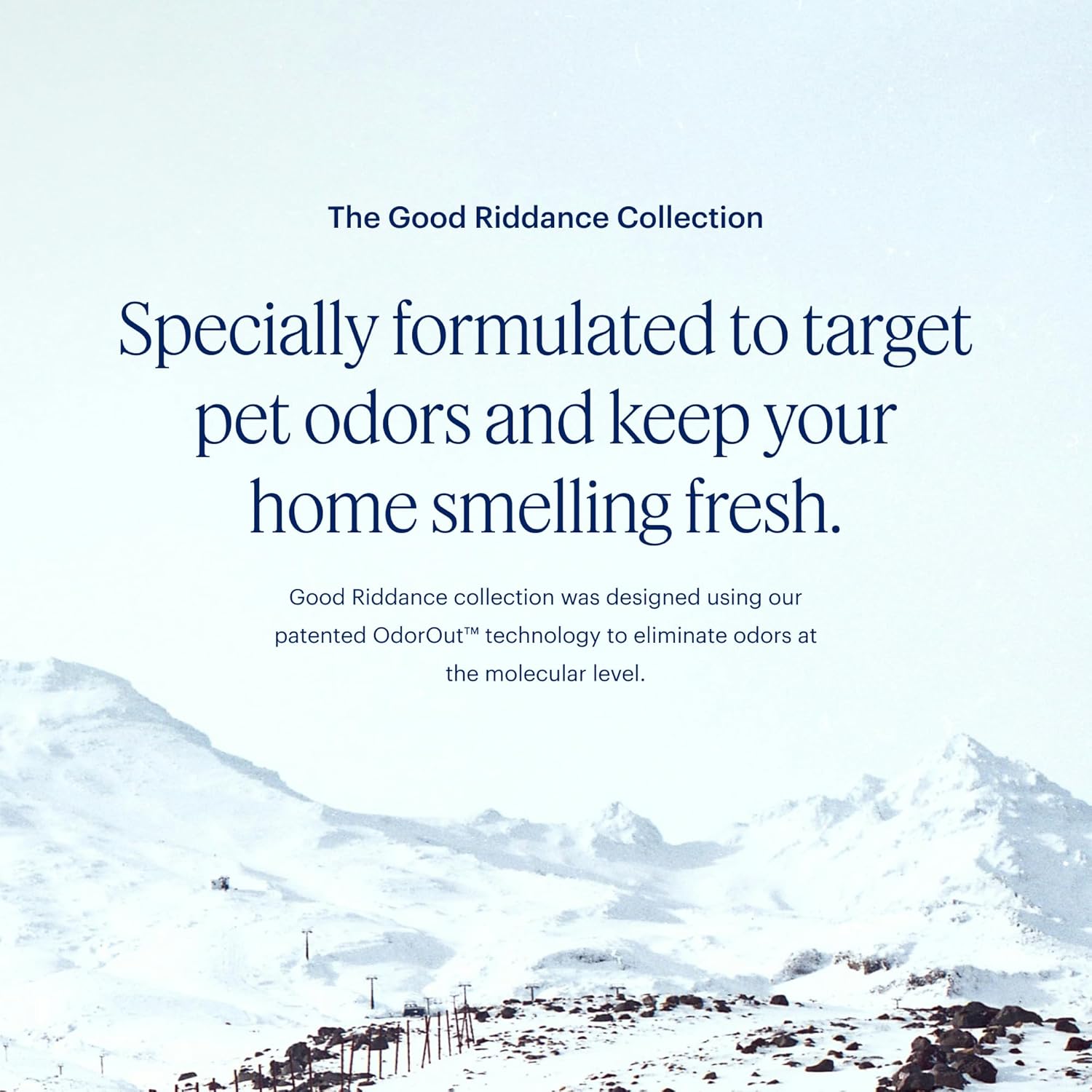Aera Good Riddance Pet Odor Essential Oil Scent Refill