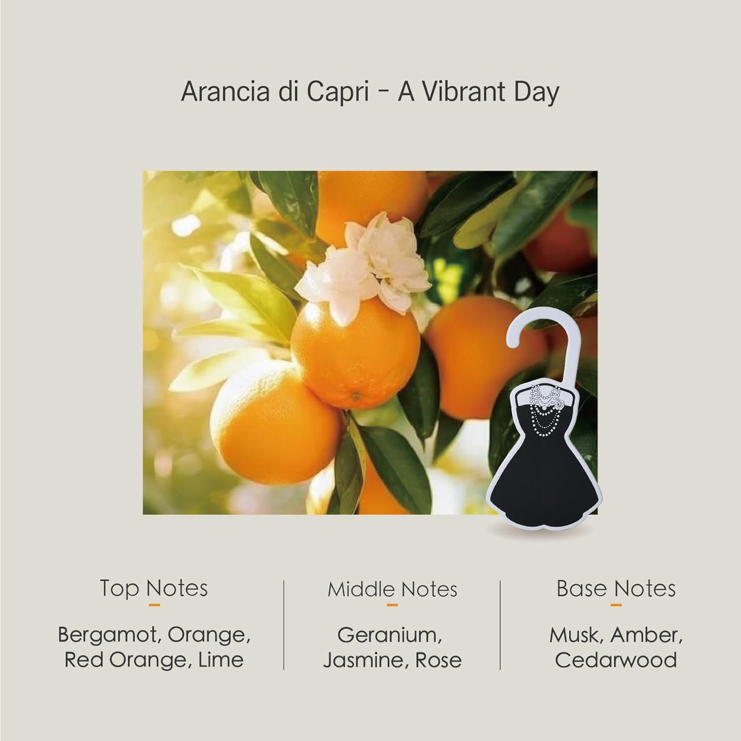 Citrus Scented Drawer Sachets for Fresh Air