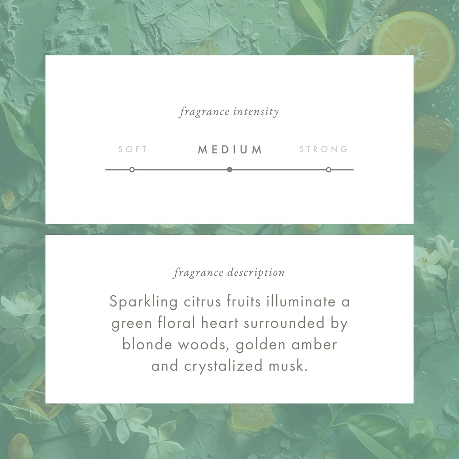 Monthly Fragrance Cartridge for Whisper Home - A Walk in the Woods 1