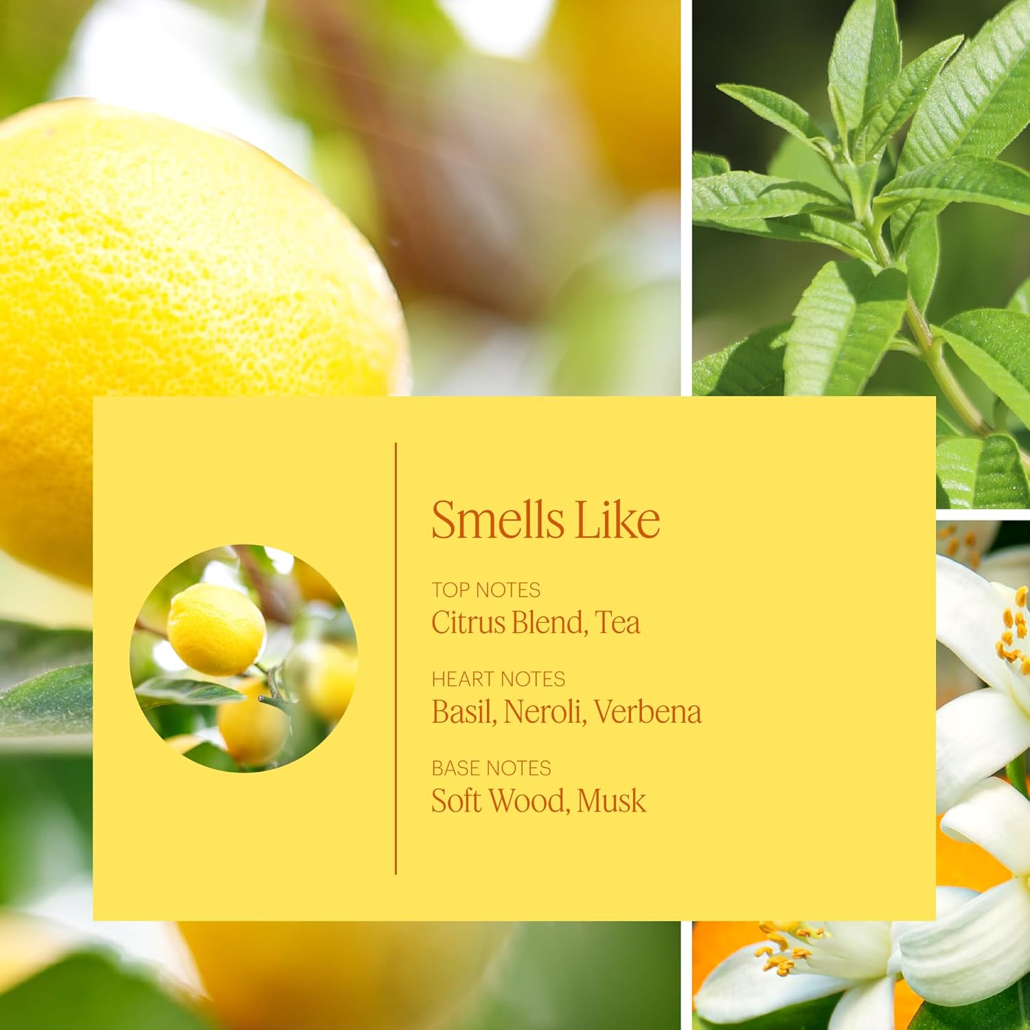 Aera Lemon Neroli Scent Refill for Mini Diffuser
