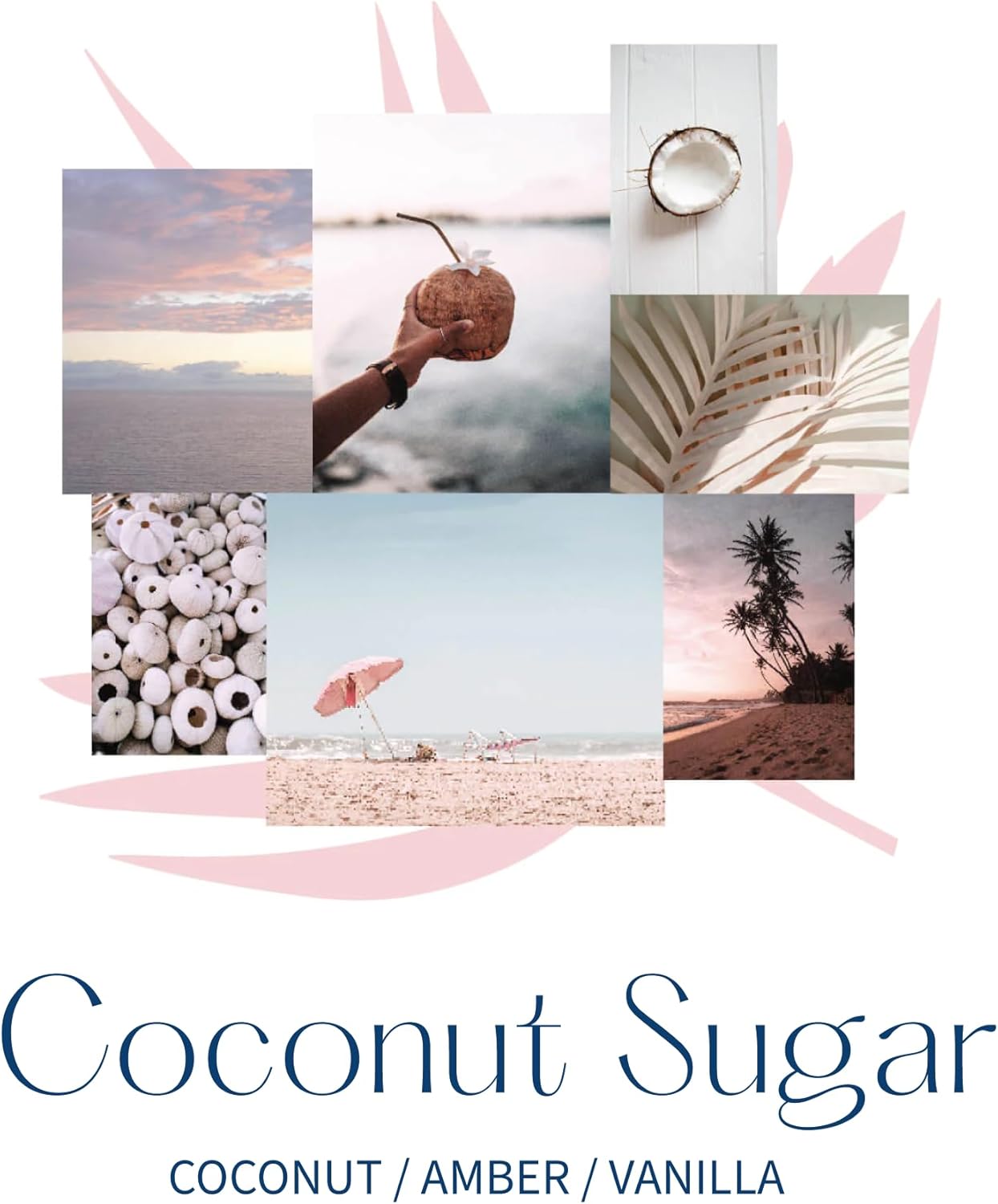 MER SEA x Pura Fragrance Refill Coconut Sugar