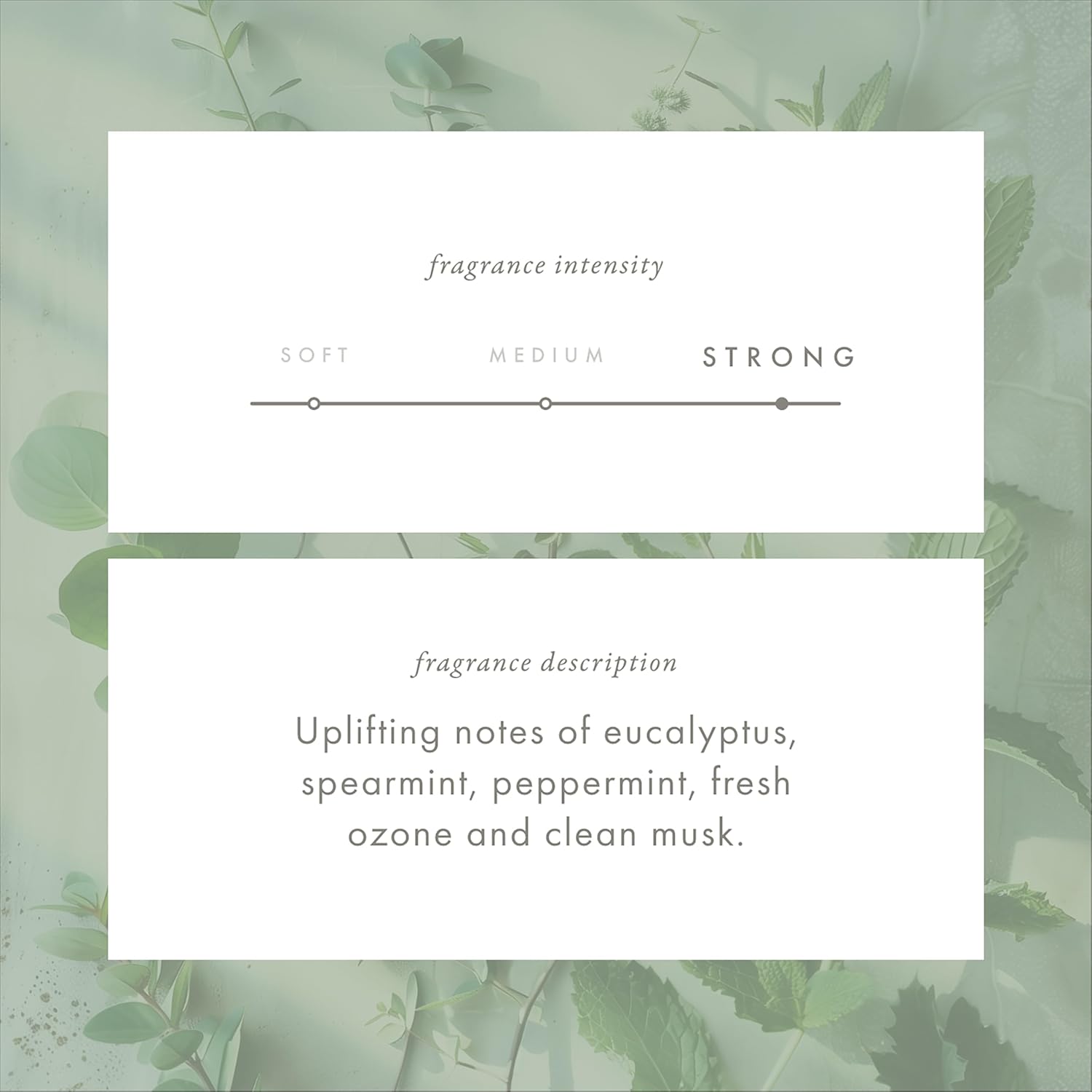 Monthly Fragrance Cartridge for Whisper Home - Eucalyptus Mint 1