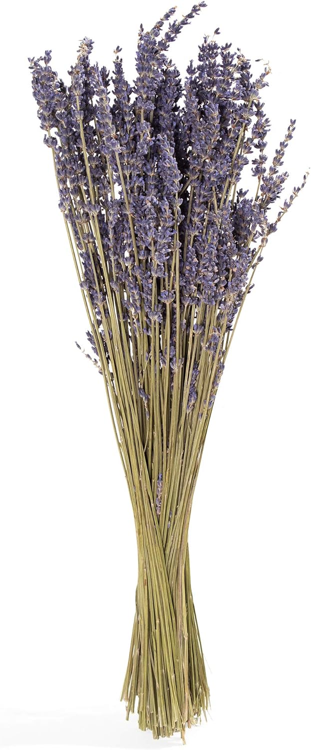 De La Terre Dried French Lavender Bundle