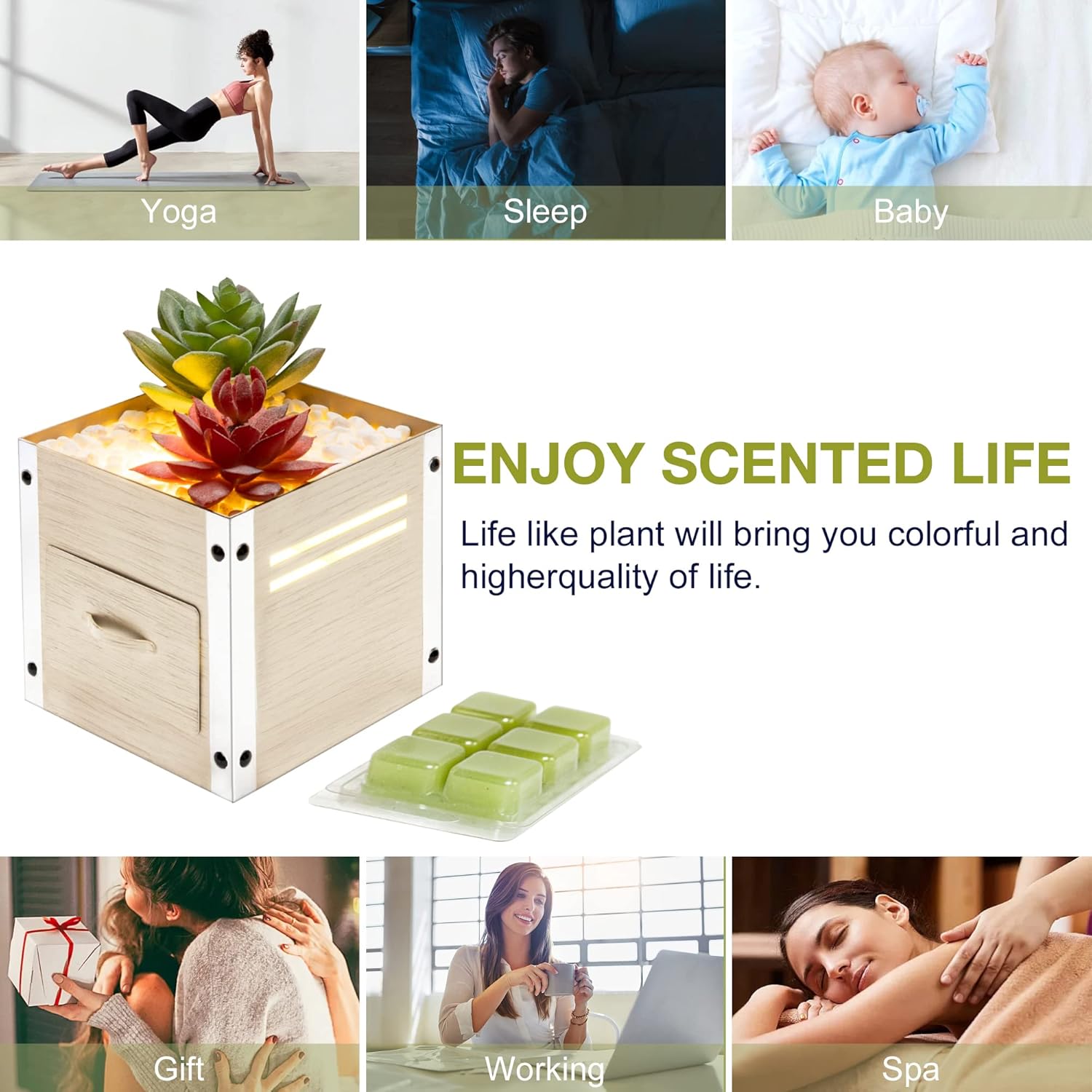 GXD Artificial Succulent Wax Warmer with LED Light