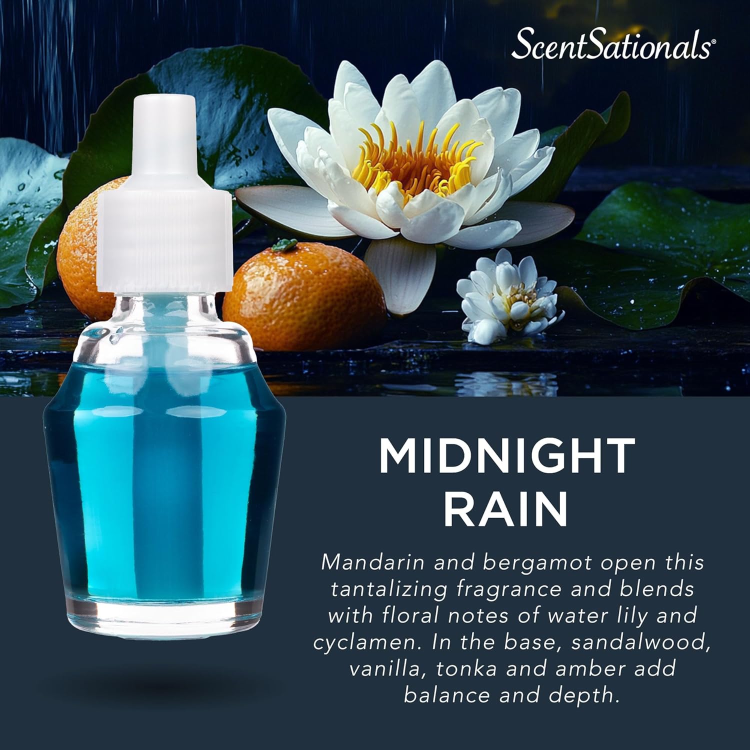 Scentsationals Midnight Rain Fragrance Oil Refill 3-Pack