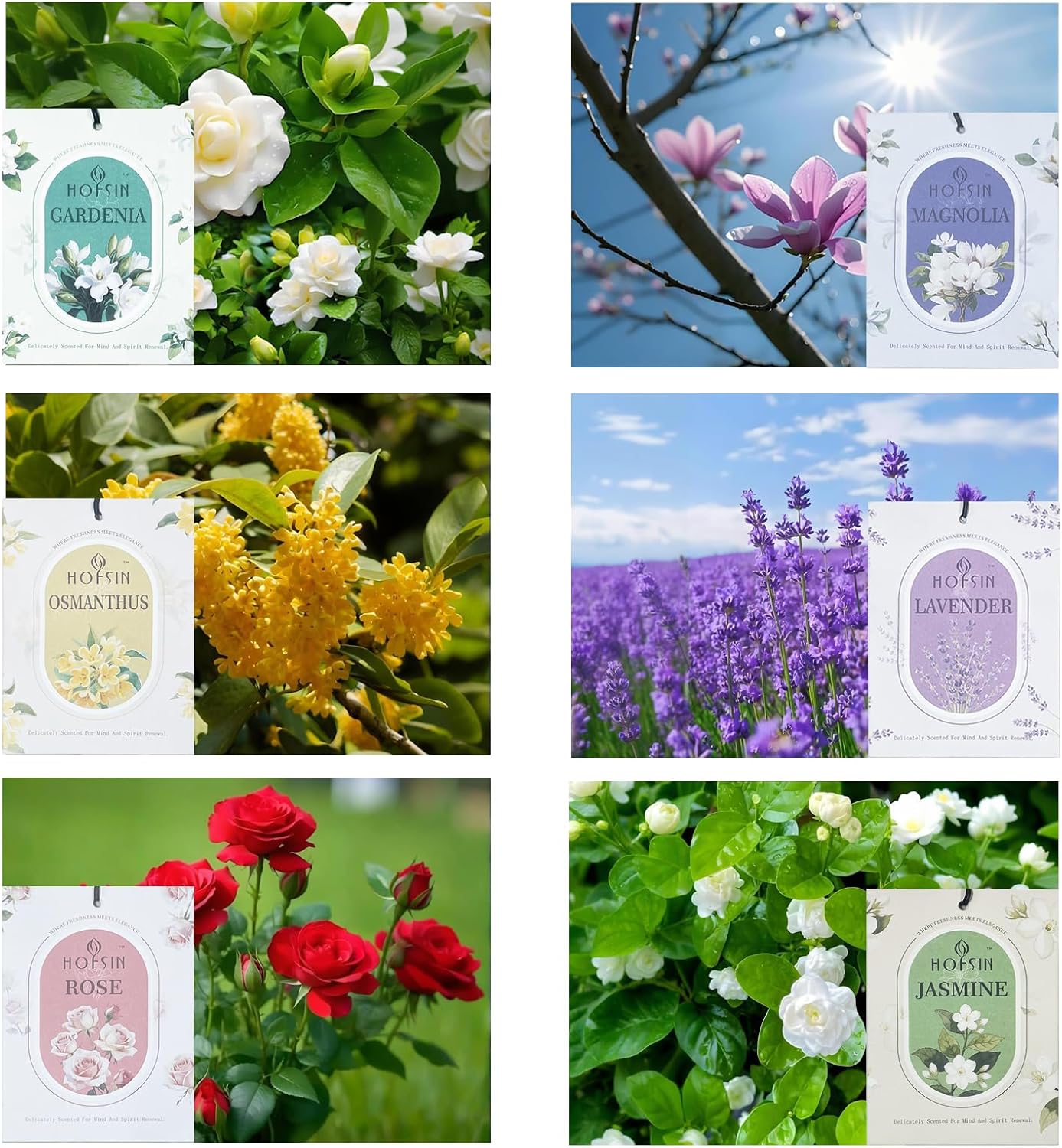 HOFSIN 12 Pack Lavender Sachets for Home and Car